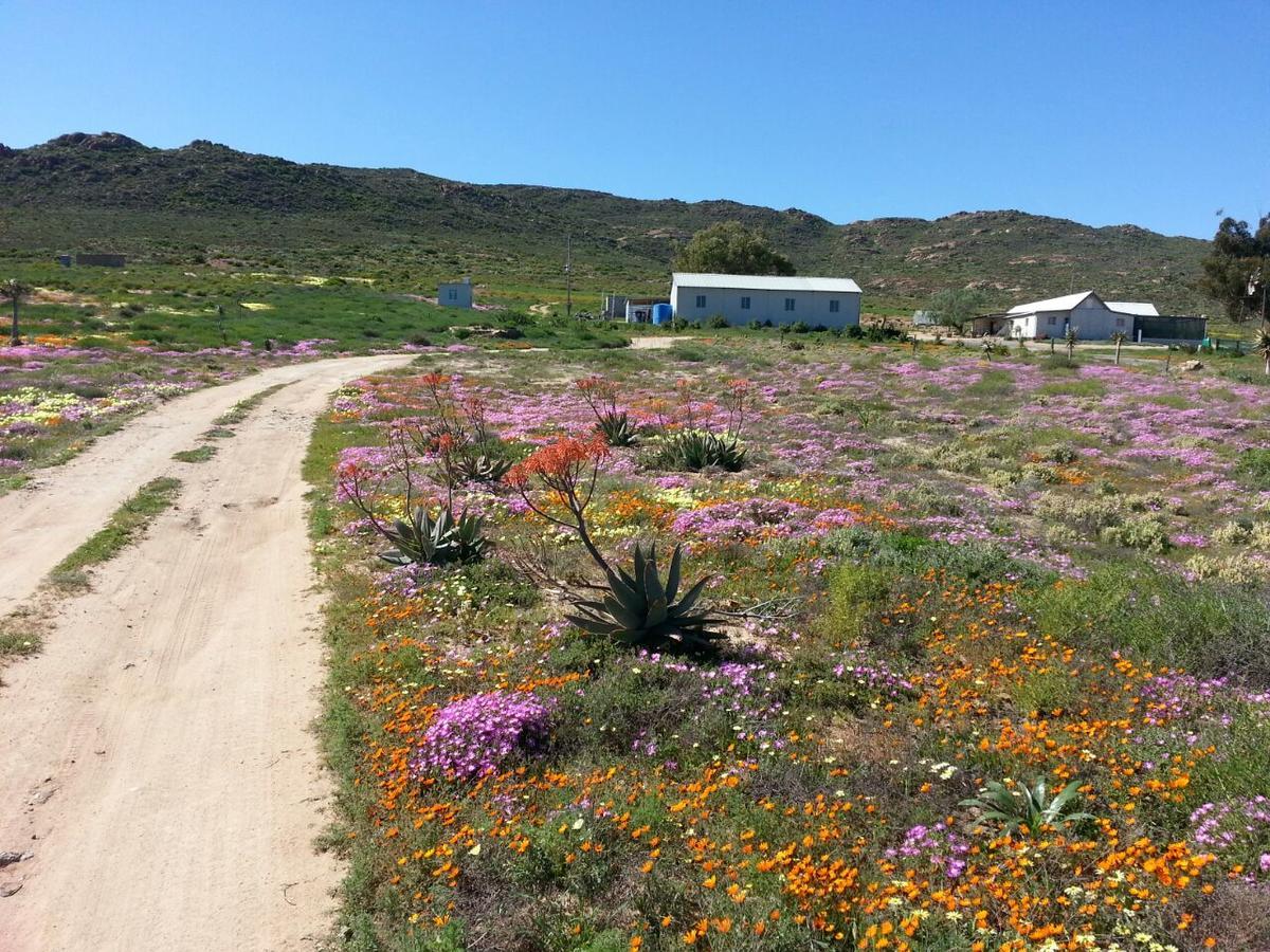 Middelkraal Accommodation Garies 外观 照片